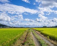 「U字工事」「つぶやきシロー」がコンプレックスの栃木県