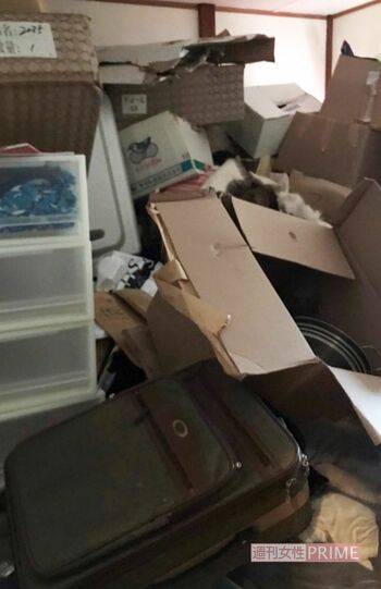仲本工事さんの自宅がゴミ屋敷に…