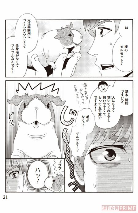 『ペット共生型マンション物語　ハイツ祐天寺へようこそ』第3巻（漫画柏屋コッコ／原作小林のえ）