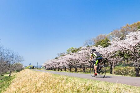 散歩やサイクリングにぴったり