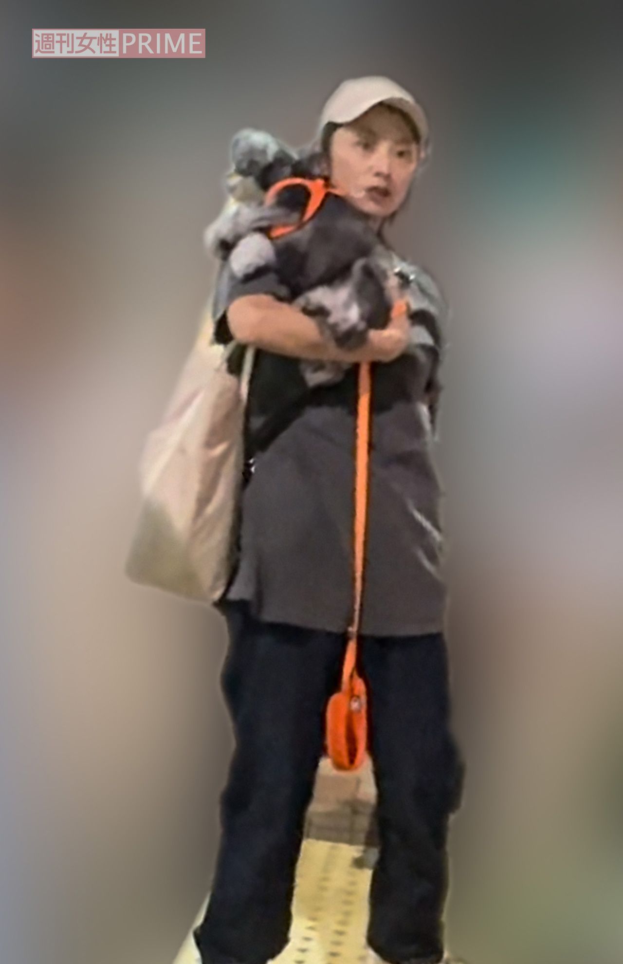 2024年9月中旬、両親にプレゼントしたマンションの前で、愛犬を抱えながらタクシーを待つ小池栄子