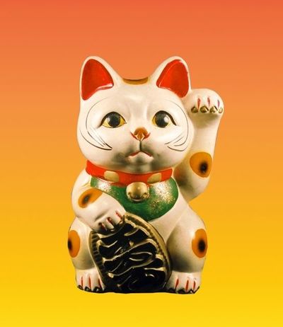 フィフィ、ネコノミクスに違和感「それって人間のエゴでしょ」