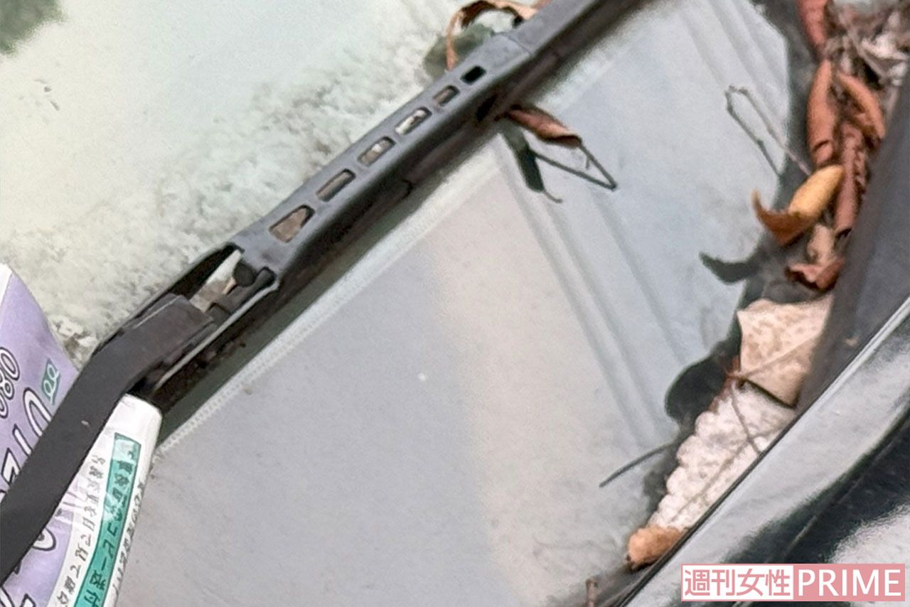 《神奈川・茅ケ崎》小椋亮容疑者の愛車はしばらく運転した様子がなく、フロントガラスとボンネットのすき間に落ち葉などが堆積していた