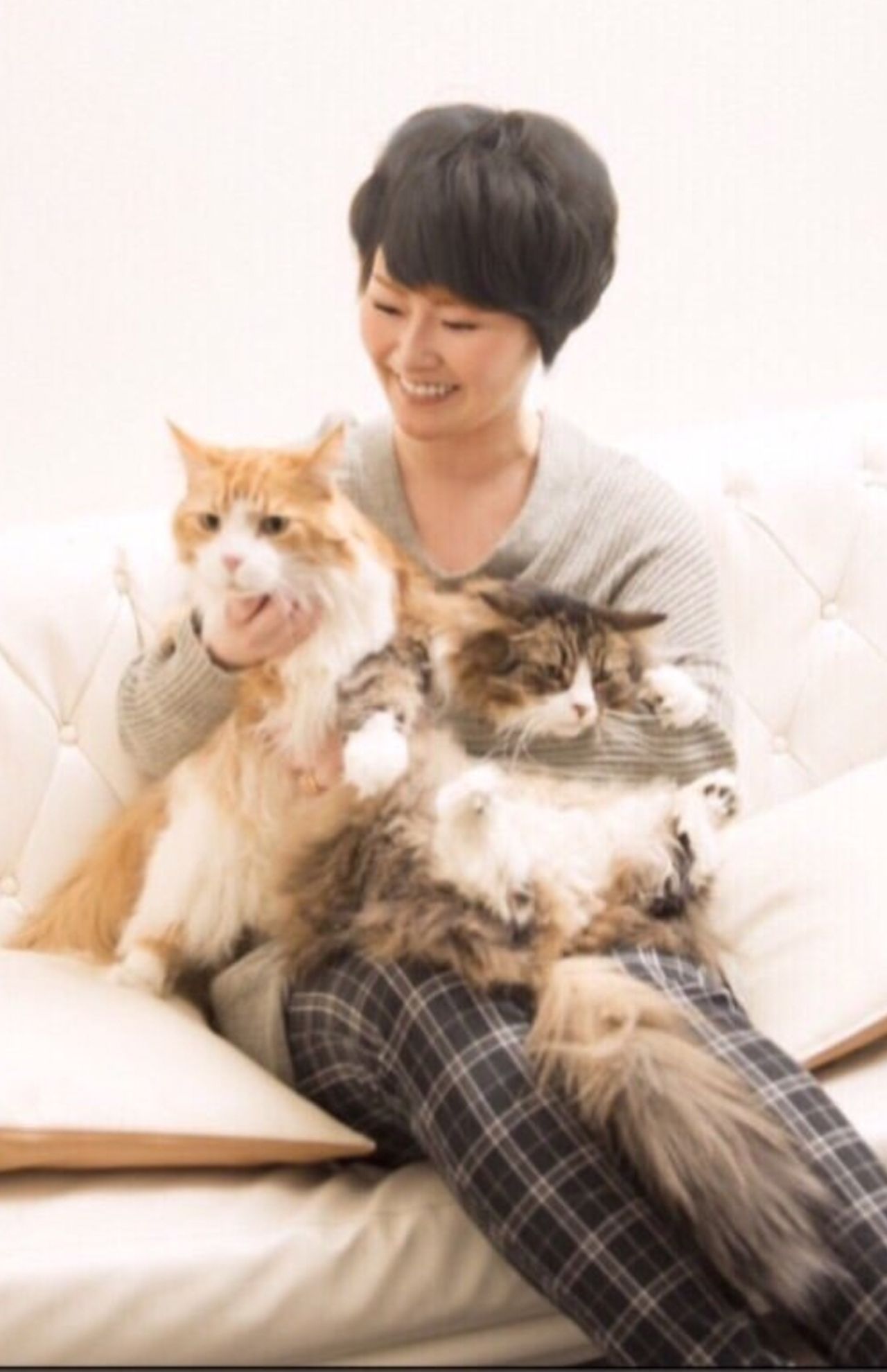 結婚生活2週間で離婚を発表した遠野なぎこがブログにアップしていた猫との写真（2023年）