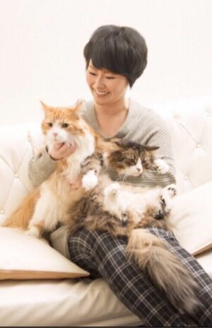 結婚生活2週間で離婚を発表した遠野なぎこがブログにアップしていた猫との写真（2023年）