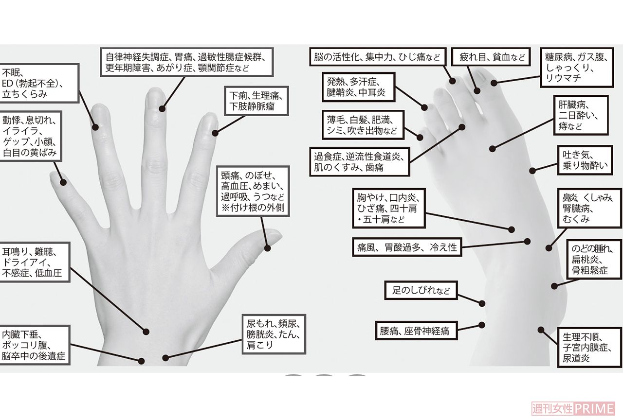 手と足の治療マップ
