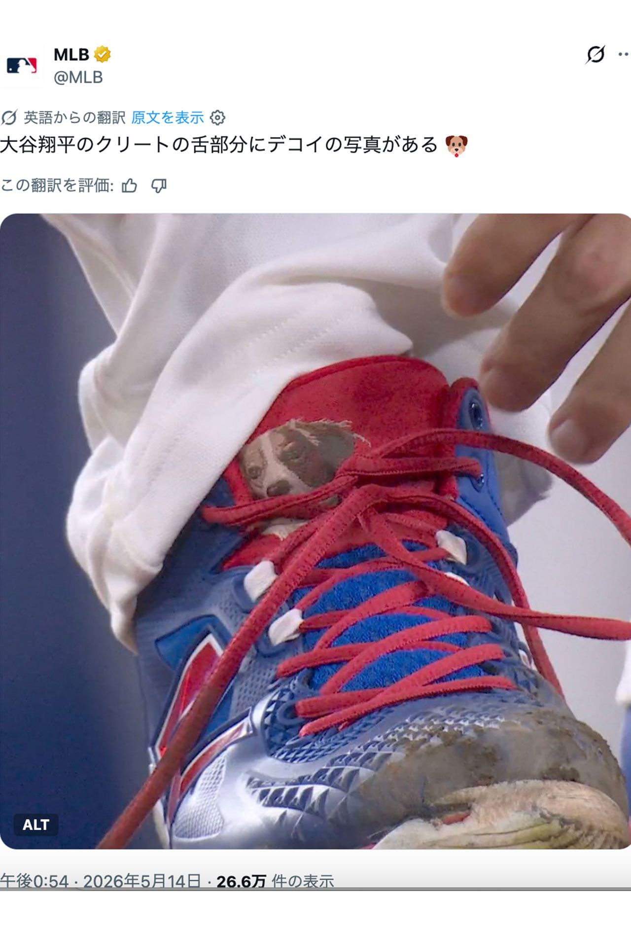 大谷翔平のスパイクにいた！“隠れデコピン”（MLB公式Xより）