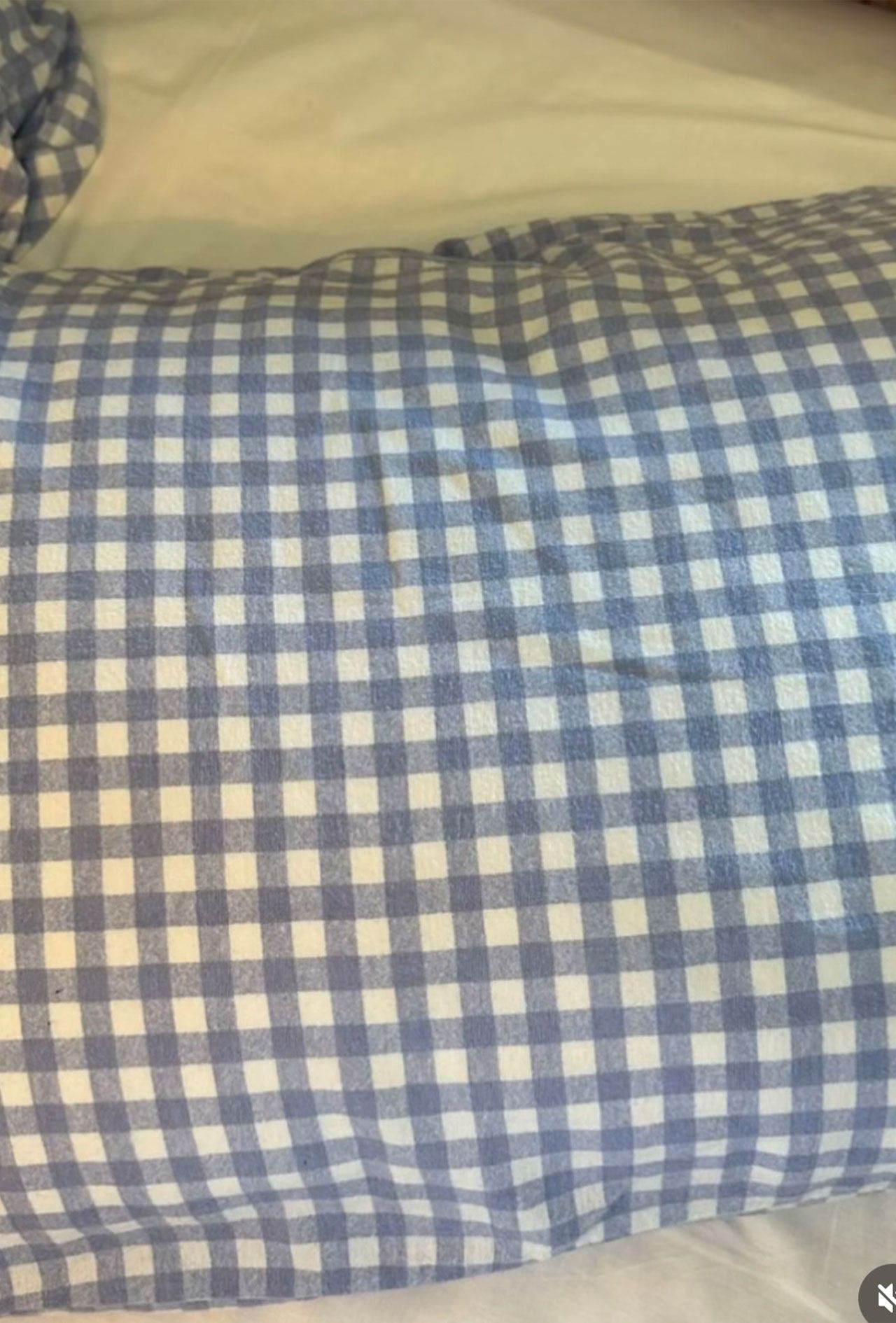 梅宮アンナの愛用の枕