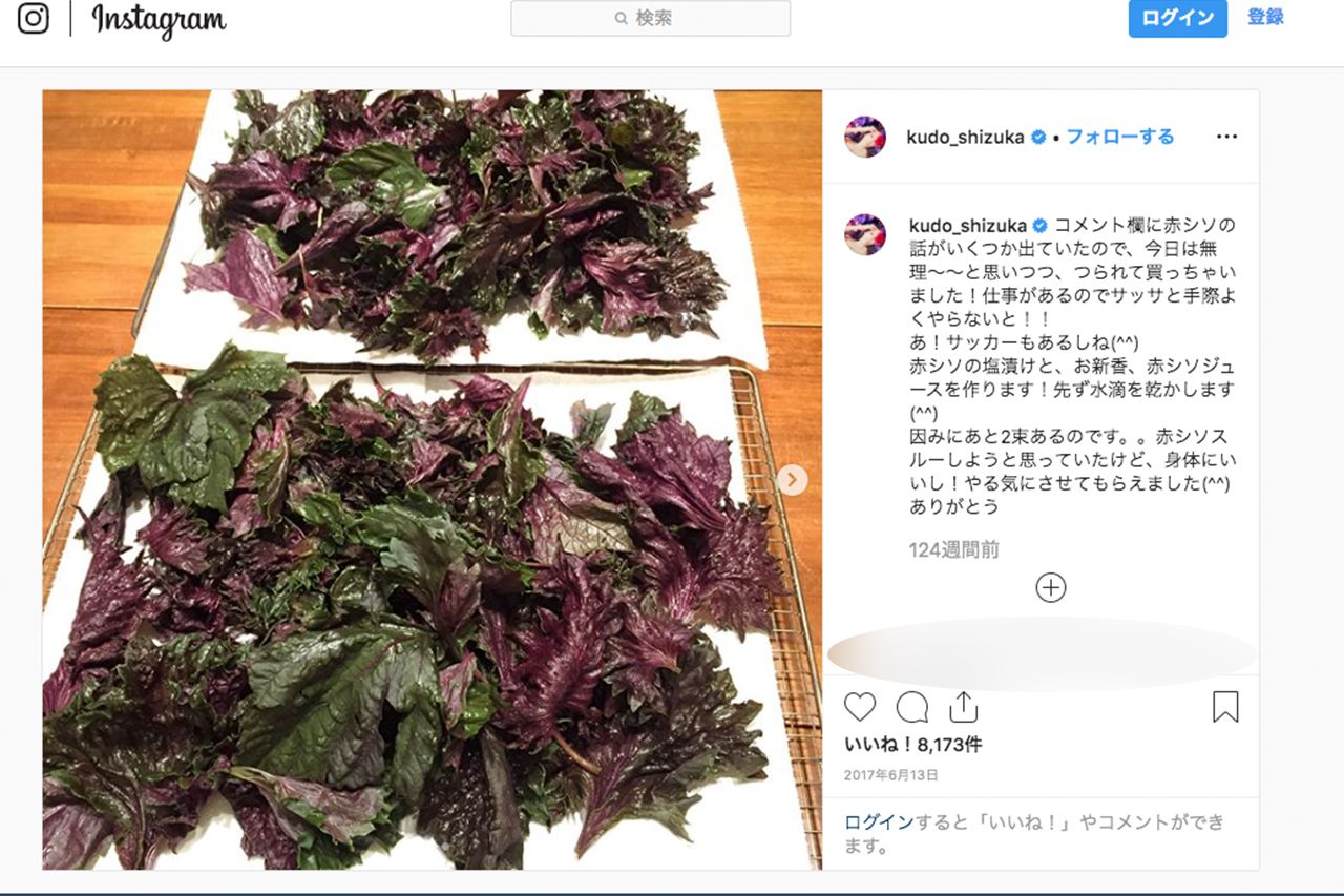 インスタにアップされるたびに炎上した「工藤静香レシピコレクション」（インスタグラムより））