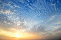 四十路、実家暮らし、彼氏なしの非正規雇用の相談者に朗報も「これで大丈夫？」と心配に