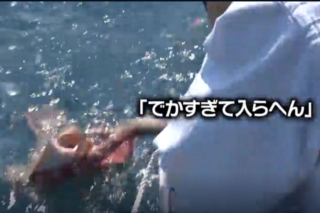 鉄腕DASHで釣れたヒラメが「不自然に大きすぎる」と話題に