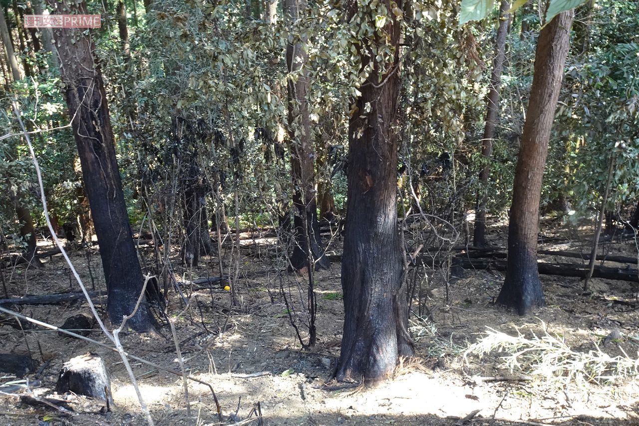 島田容疑者が逮捕された現場の焼け跡。民家からは少し離れている