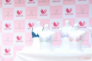 タイのワコールが「制服姿で下着を見せる」広告が大炎上、日本のワコール本社「深くお詫び申し上げます」