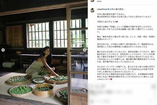 真剣な表情で梅干しづくりの作業をしているローラ。《中国さんありがとう》と梅の歴史についても綴っている（本人のインスタグラムより）