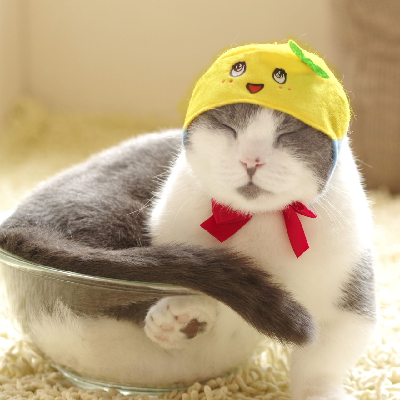 ふなっしーとのコラボも　(c)ふなっしー (c)KITAN CLUB