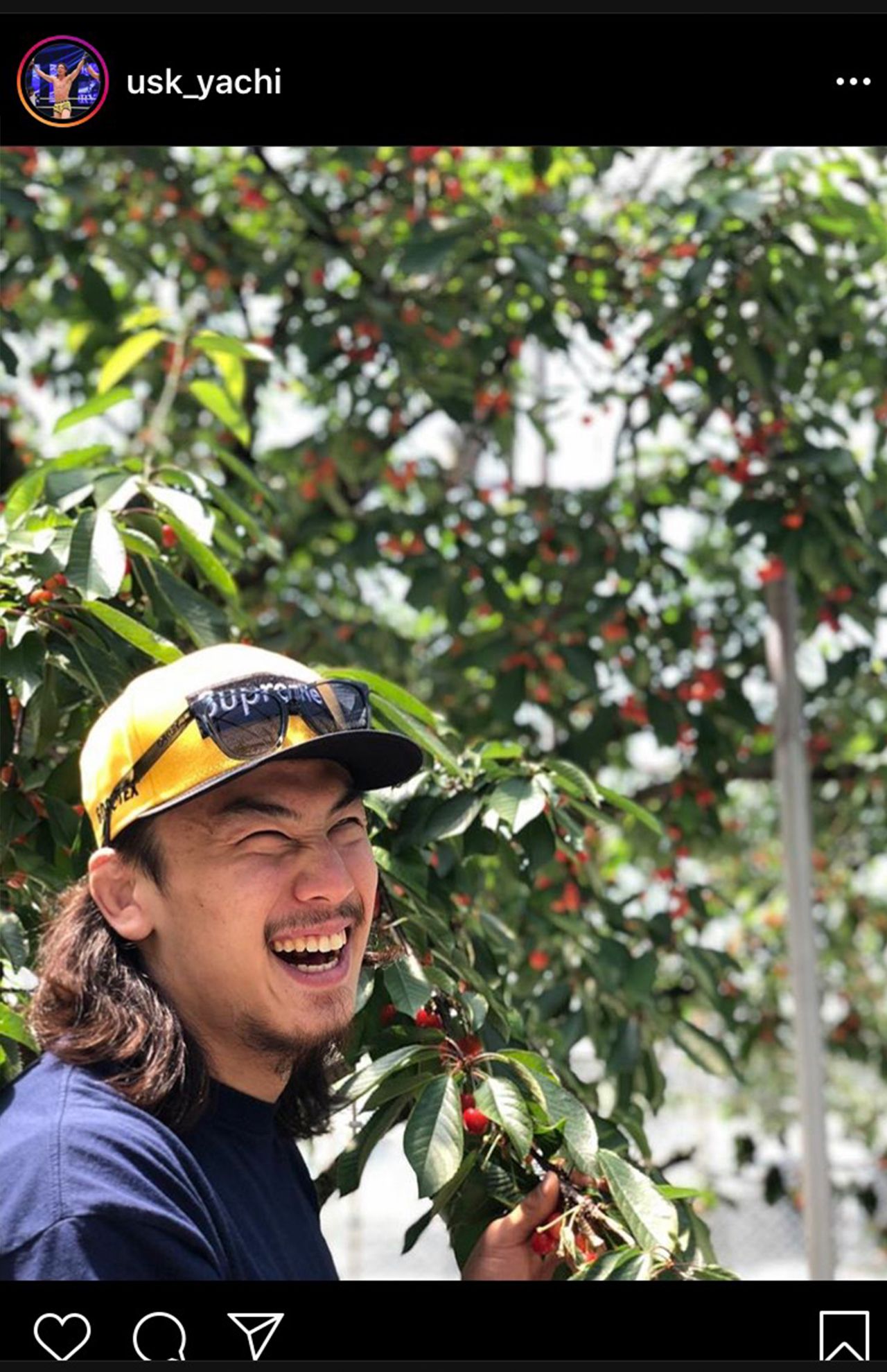 熱愛の川口春奈と矢地祐介、さくらんぼ園デートの様子を時間差でアップ（インスタグラムより）