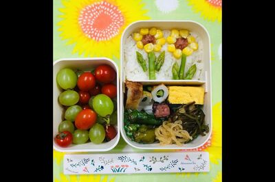 ヒマワリはとうもろこし、おばけはご飯で作るなど、“簡単だけど華やか”が得意分野！