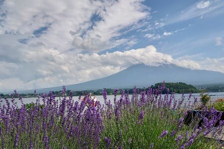 バスは東西南北どこへ向かうのか。綿密に計画を立てて行く旅もいいけれど、意外性を楽しむのが大人の余裕