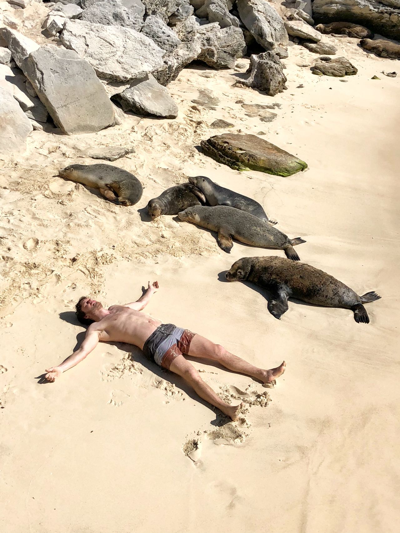 アザラシの仲間になったようなショット☆　撮影／アラン・ディクソン