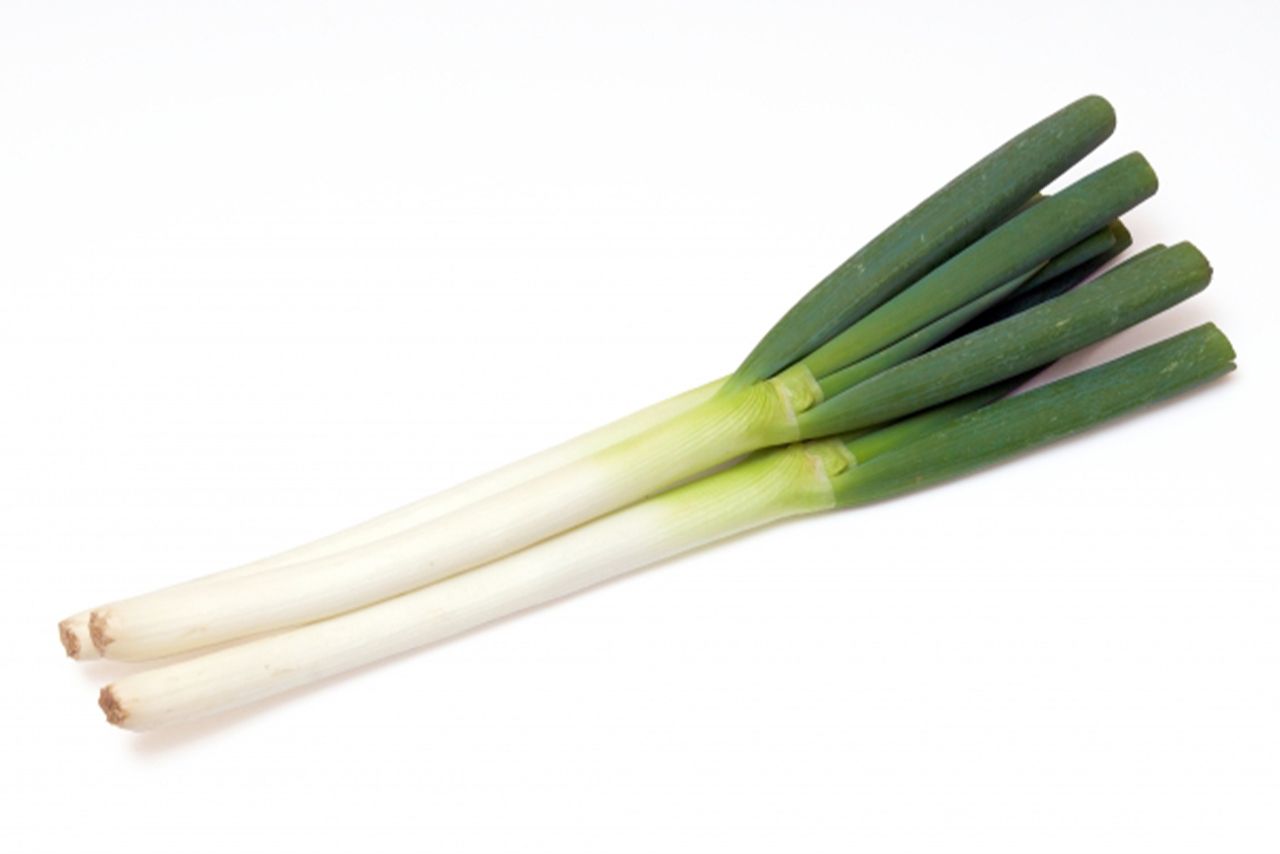 ※写真はイメージです