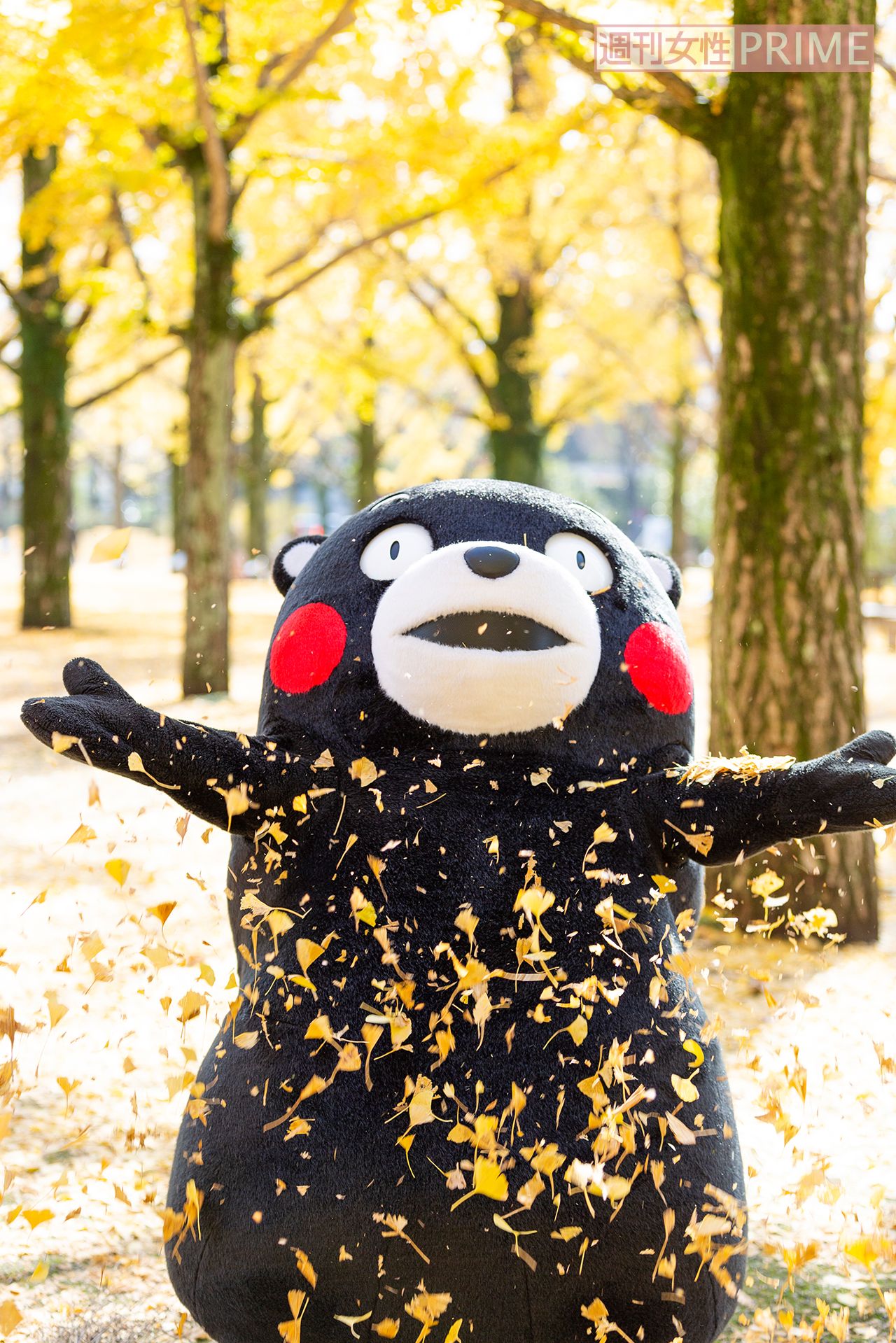 撮影／宮井正樹