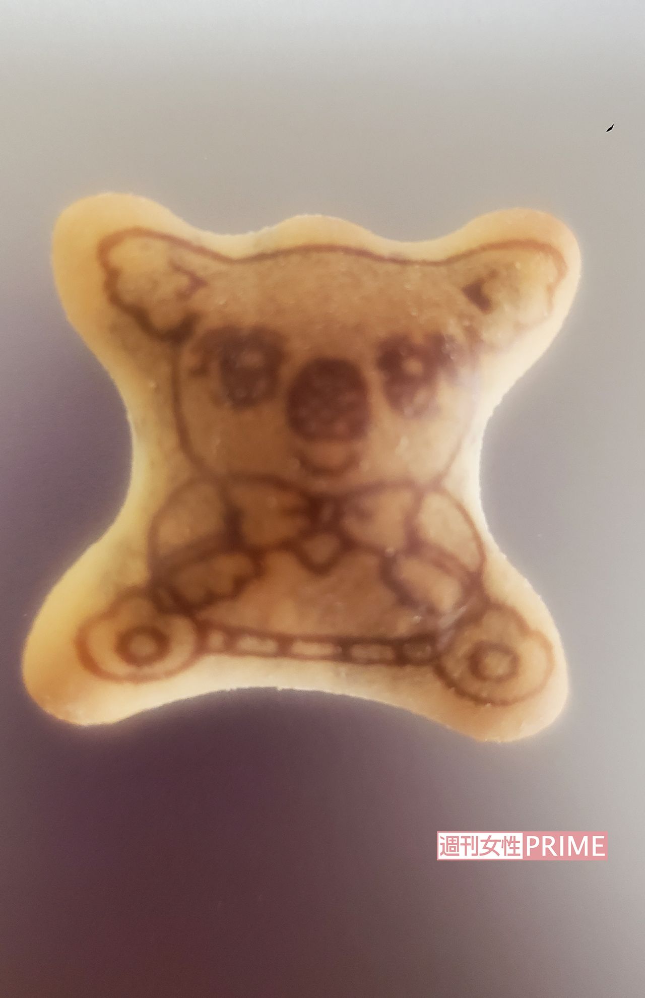 少女マンガコアラ