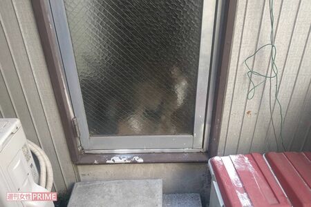 容疑者夫婦のいない自宅には、猫だけが住んでいた