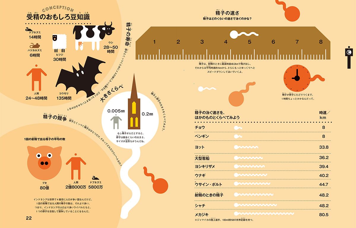 ボルトの世界記録より速い 精子が飛び出す速さは最高時速48 2キロ 週刊女性prime シュージョプライム Youのココロ刺激する ボルトの世界記録より速い 精子が飛び出す速さは最高時速48 2キロ 週刊女性prime シュージョプライム Youのココロ刺激する