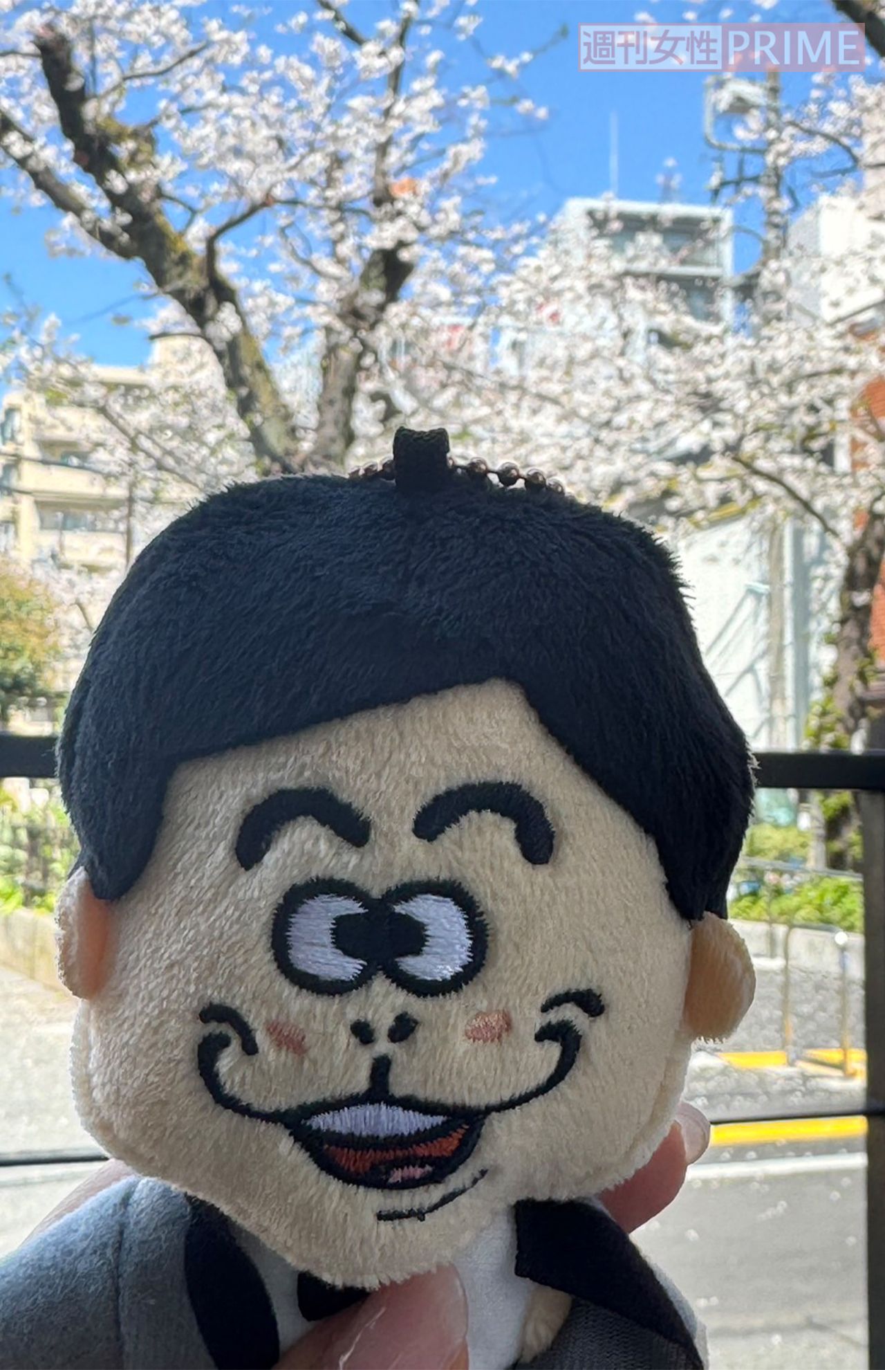 写真提供／加藤綾菜