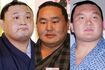 左から貴乃花、朝青龍、白鵬……。平成以降に昇進し引退した横綱は11人。そのうち6人が角界を離れている