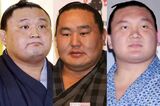 白鵬だけじゃない…貴乃花・朝青龍も“排除”の「日本…