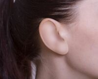 写真週刊誌が掲載した人気女子アナの不倫画像、モザイク処理に異変