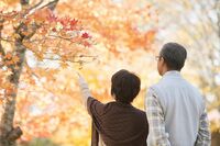 ファイナンシャルプランナーが教える「50代から使えるシニア割」、旅行に映画、マクドナルドや孫へのプレゼ…