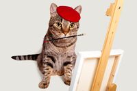 【心理診断】暇な時どうする？ 選ぶものでわかる「○○系女子」