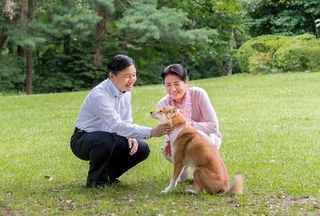 写真／宮内庁  東宮御所で愛犬の由莉と