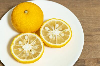 ※写真はイメージです