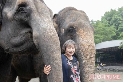 「ぞうの楽園を作りたい」元トップモデル、悲しい死を乗り越えてつくった“リアル版どうぶつの森”