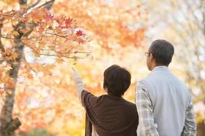 ファイナンシャルプランナーが教える「50代から使えるシニア割」、旅行に映画、マクドナルドや孫へのプレゼ…