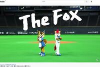 広瀬アリスも踊った、日ハムの『きつねダンス』の中毒性がヤバめ!球団が狙う“次に踊ってほしい人”