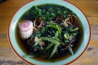 全国各地の駅そば、「つゆ」「ねぎ」「盛りつけ」の“境界線”はいったいどこ？