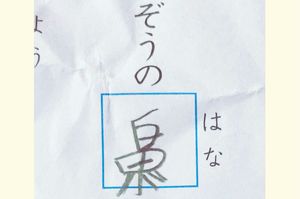 イメージは合ってる!?　直すのがもったいない　撮影／カワムラヒサコ
