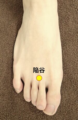 小顔＆たるみ解消には「陥谷」（画像提供／ブレア）