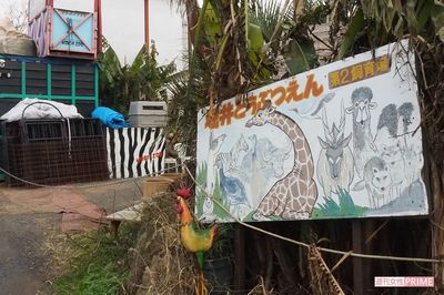 エサは値下げ弁当、放置された頭蓋骨 “ネグレクト動物園” トラブルの実態