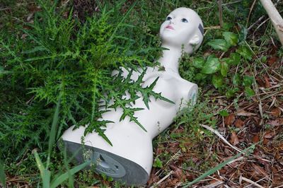 男女200人に聞いた、トリハダものの「私が体験したゾッとする心霊現象」