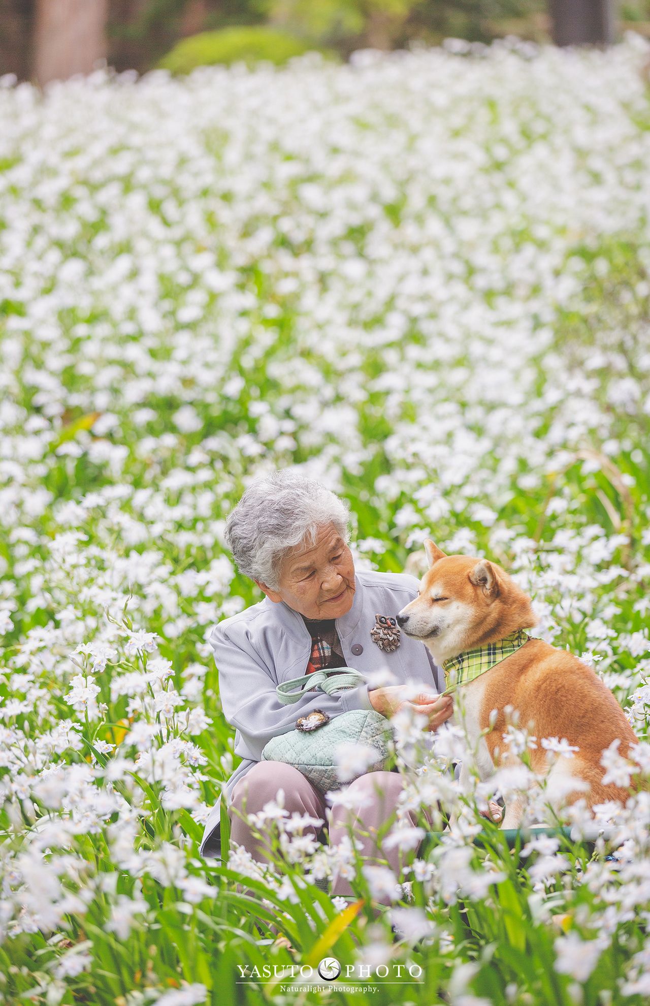 おばあちゃんに寄り添う愛犬・福ちゃんの顔はいつもリラックス　提供：YASUTO