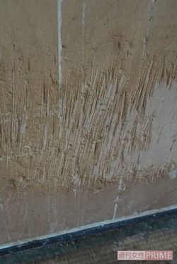 室内の壁や扉、いたるところにひっかいた跡があった