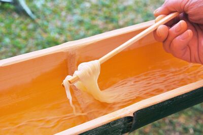 『そうめんの山道』公式サイト：https://www.shimabara-soumen.com/