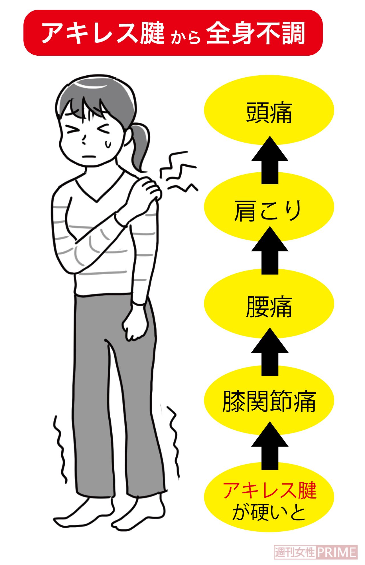 アキレス腱が硬いと全身不調になることも　イラスト／赤松かおり