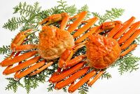 20年目のロングセラー！ 旅行商品「かにカニ日帰りエクスプレス」への提案