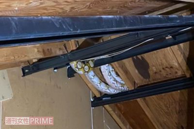 アミメニシキヘビは屋根裏にいた（協力／体感型動物園iZoo）